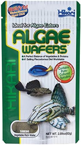 Hikari Algae Wafers (Sinking Disc) 2.89oz (82g)