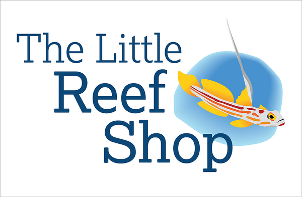 The Little Reef Shop