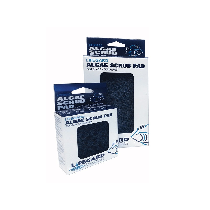 LifeGard Aquatics Algae Scrub Pad